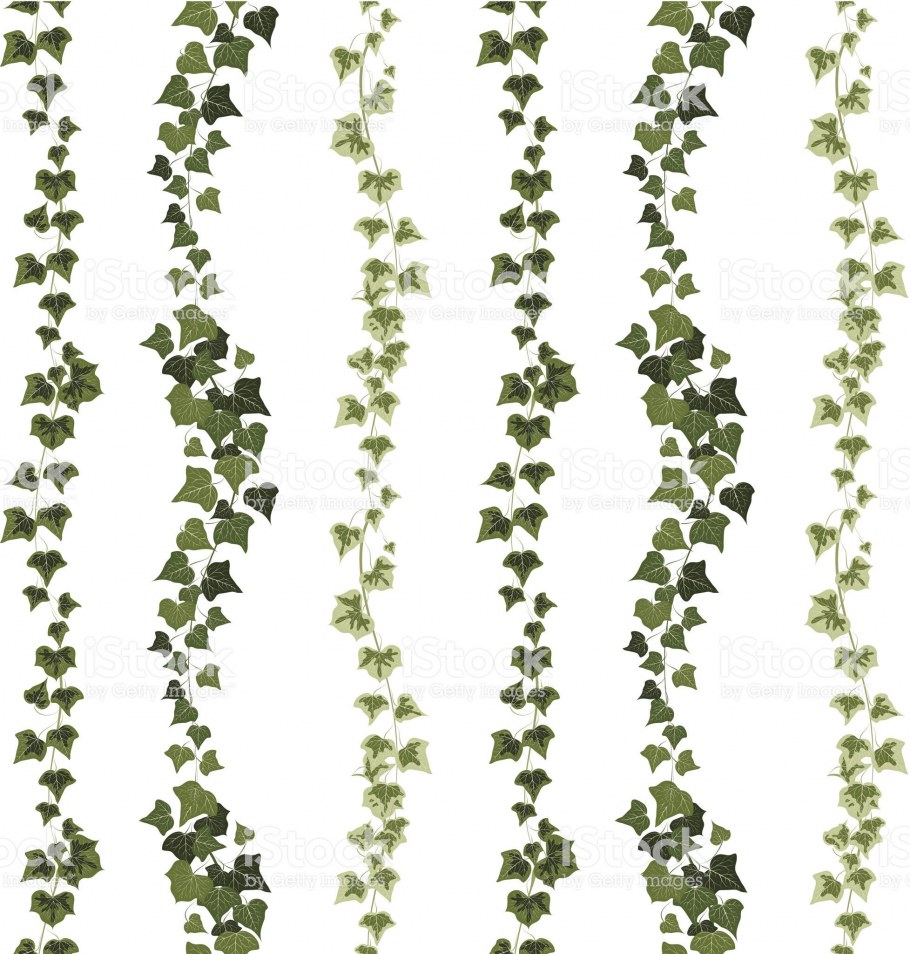 Птицы на стене в интерьере