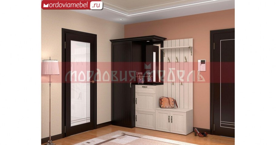 Disemobel обувница