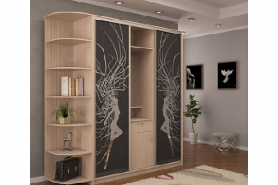 Дизайнерские шкафы купе