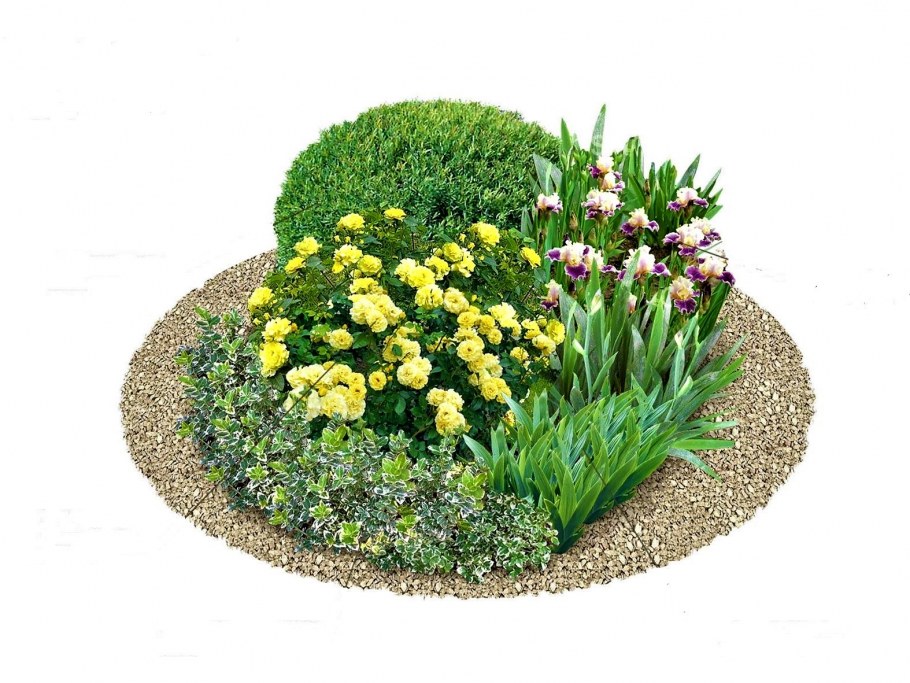 Миксбордер непрерывного цветения многолетников схема посадки