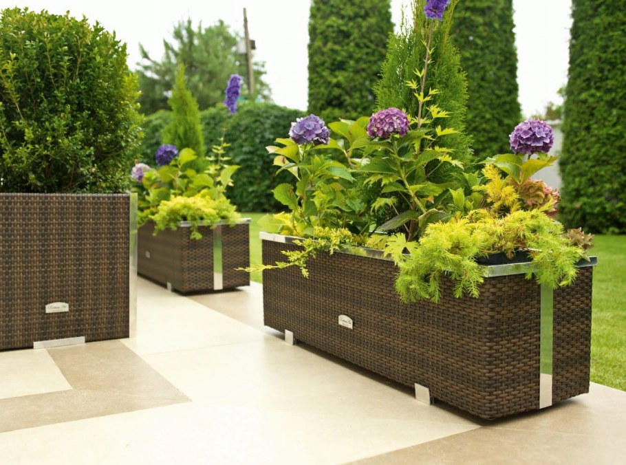 Контейнерное Озеленение патио