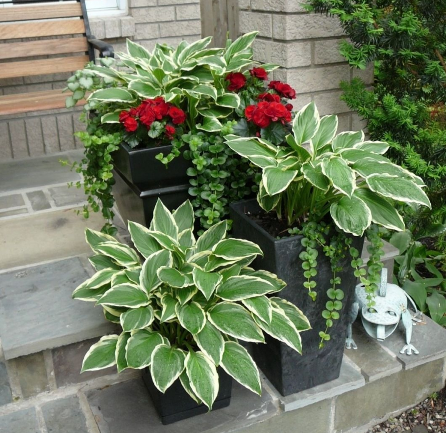 Контейнеры для озеленения