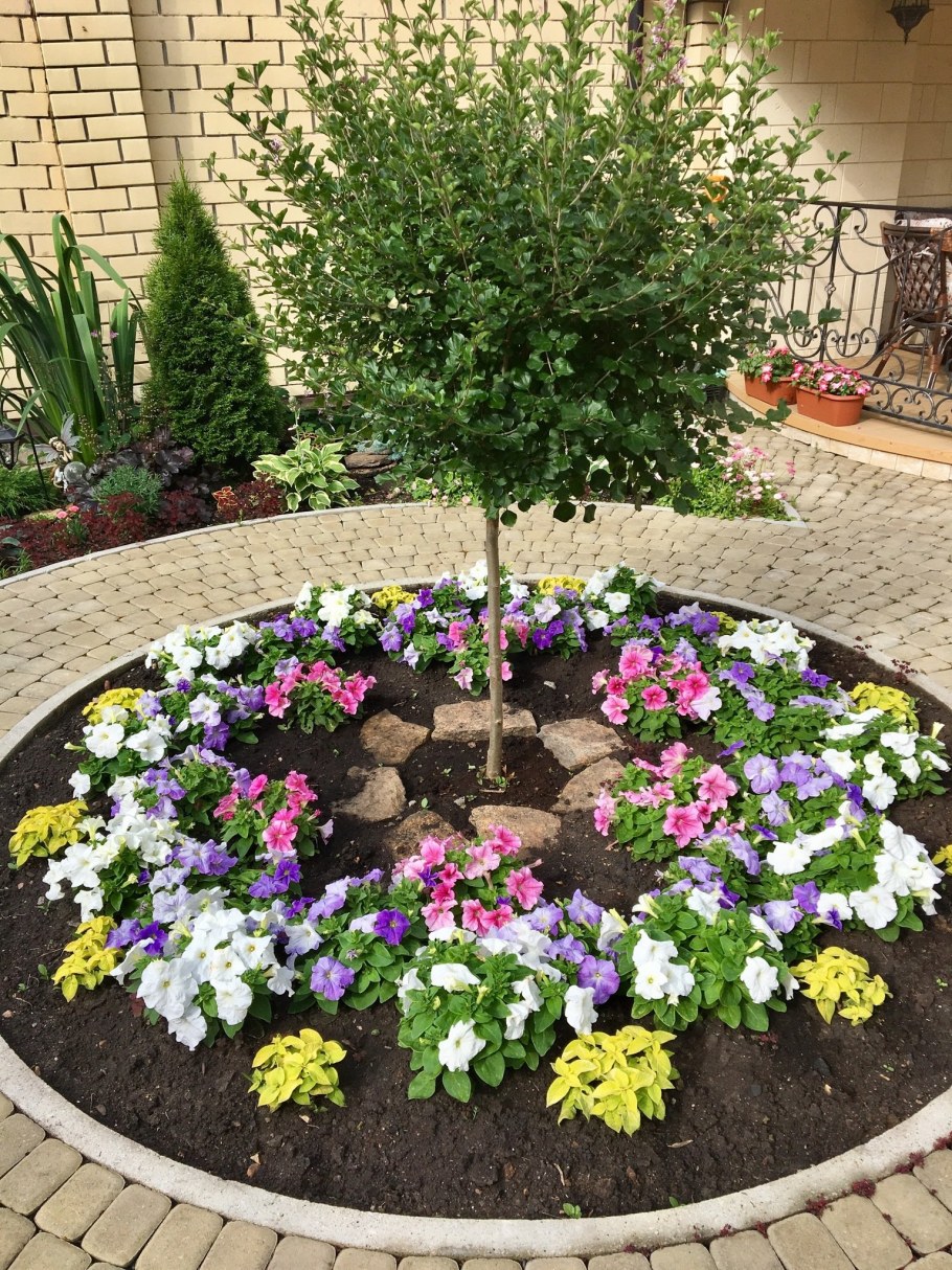 Цветы на даче