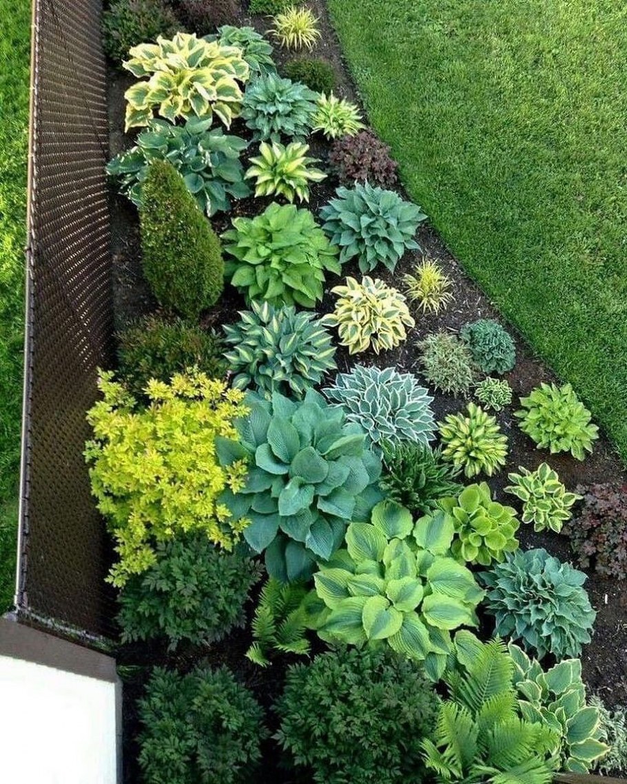 Красивый сад с газоном