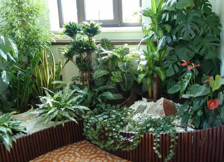 Ноэль Кингсбери миксбордер