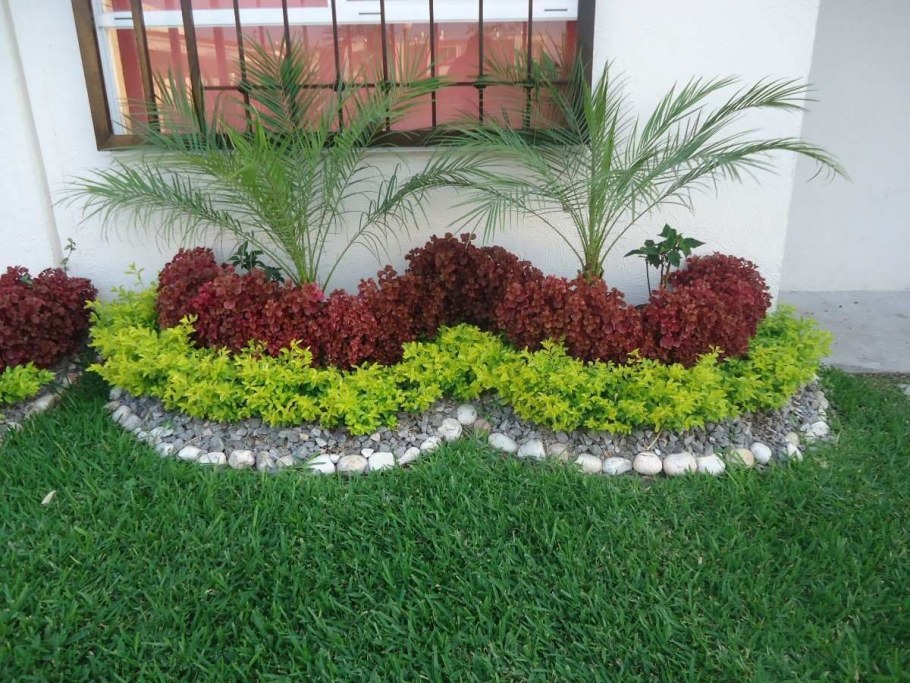 Рабатка Тунберга