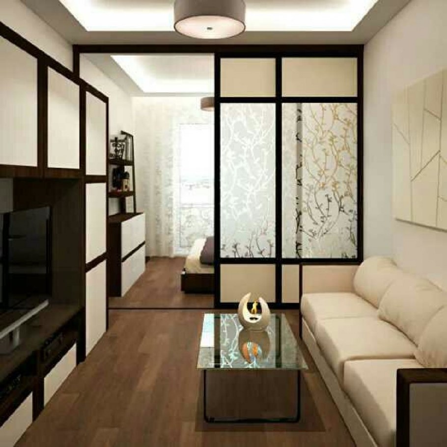 Спальня-гостиная с раздвижной перегородкой