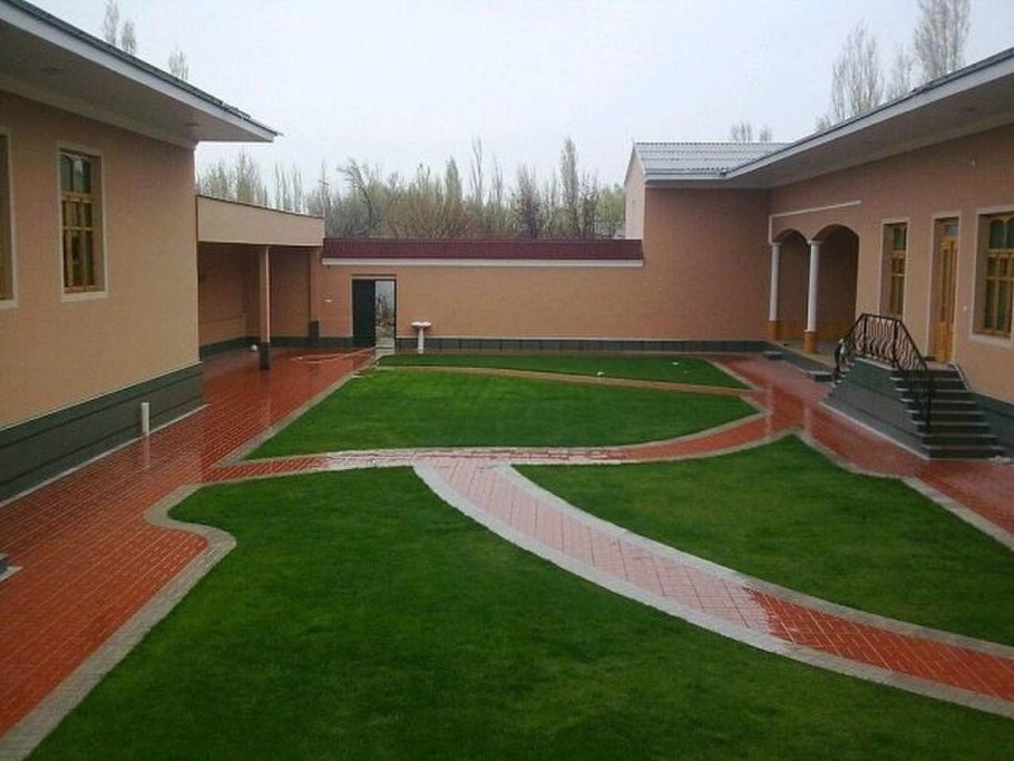 Газон во дворе частного