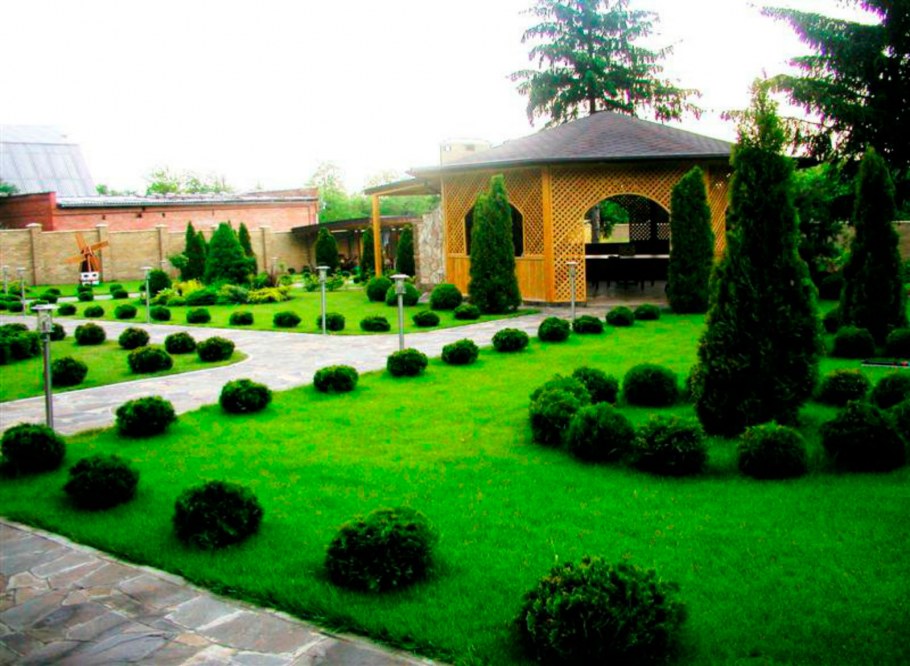 Ландшафт двора