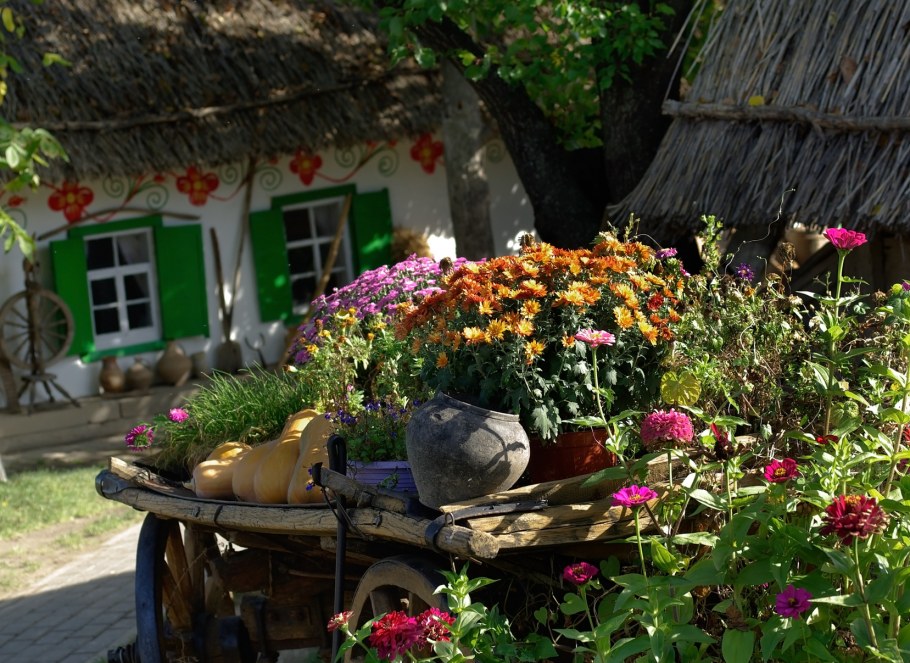 Сад в стиле Кантри Хутор