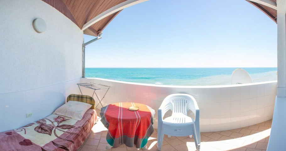 Дельфин Алушта Профессорский уголок