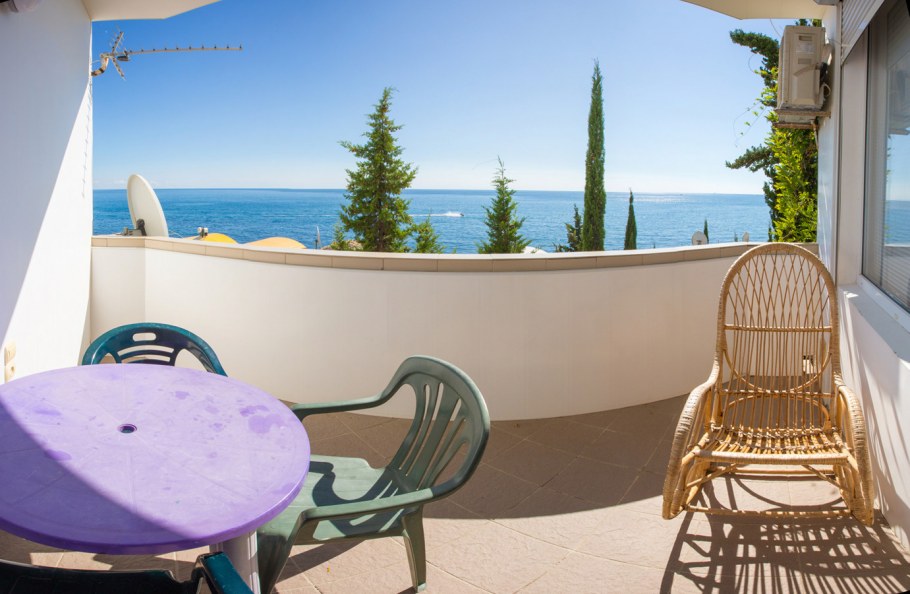 Алушта Дельфин эллинги у Марии