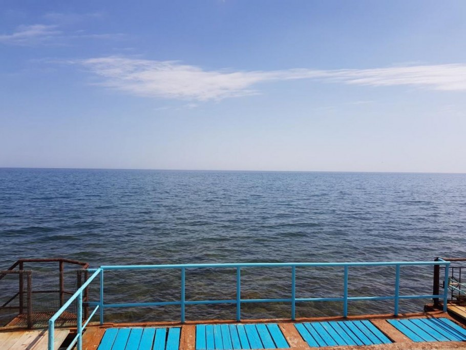 Алушта Дельфин эллинги у Марии