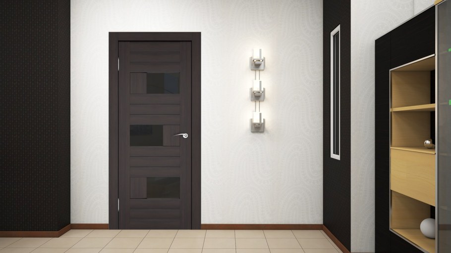 Двери цвета венге в интерьере