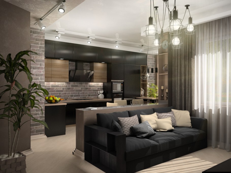 Кухня студия с гостиной