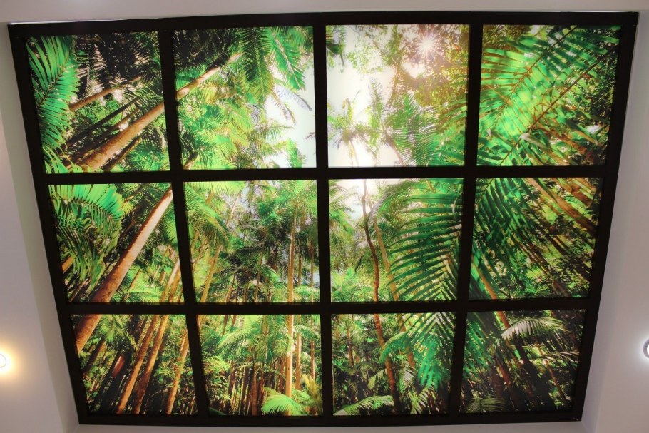 Витражный потолок пескоструйный