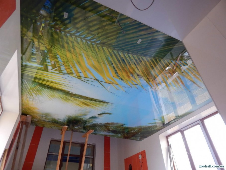 Потолок стекло