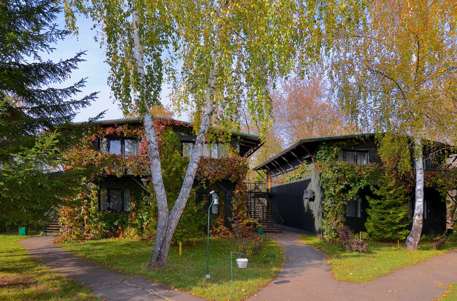 Пансионат Сосновая роща Абхазия