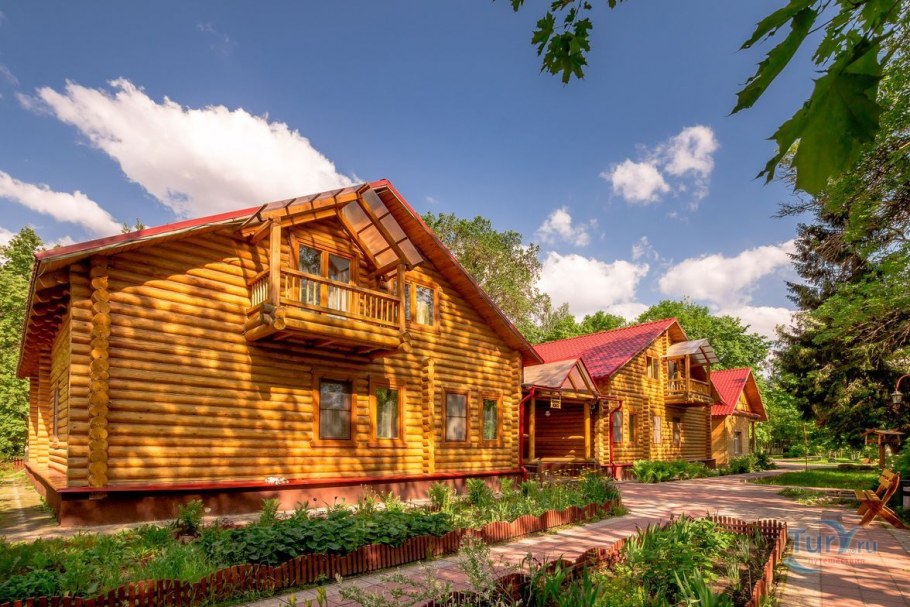 Донской лес Липецк