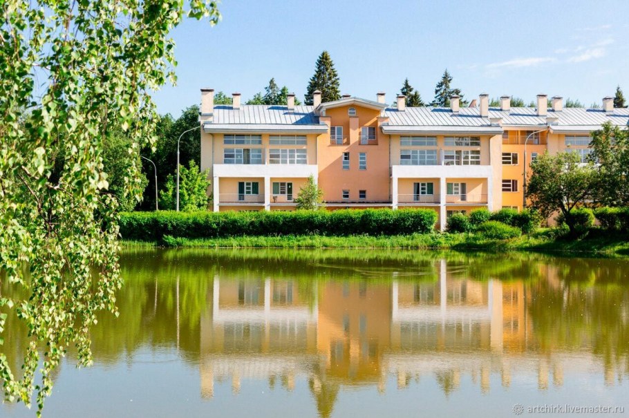 Чайка Берхино