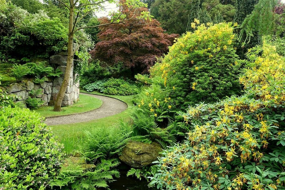 Палисад Франция сады