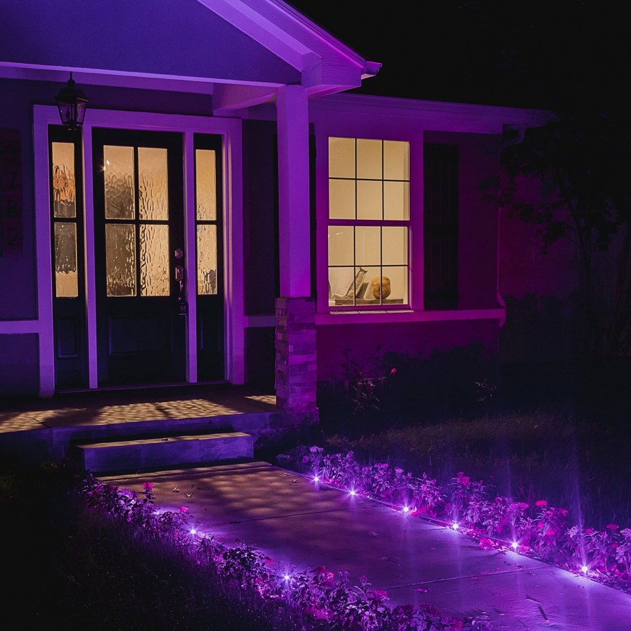 Фиолетовая дверь