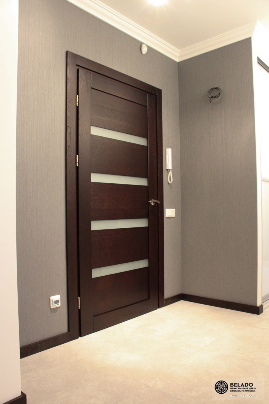 Темные двери в интерьере