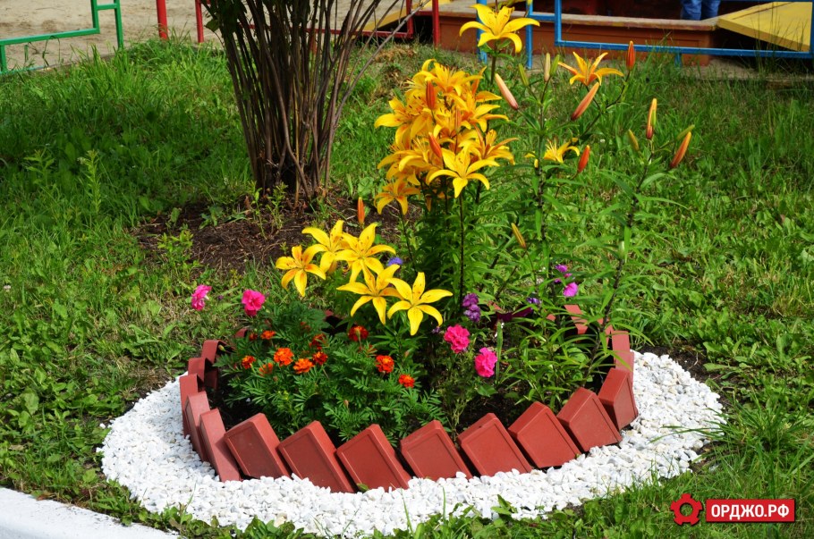 Клумба Линнея