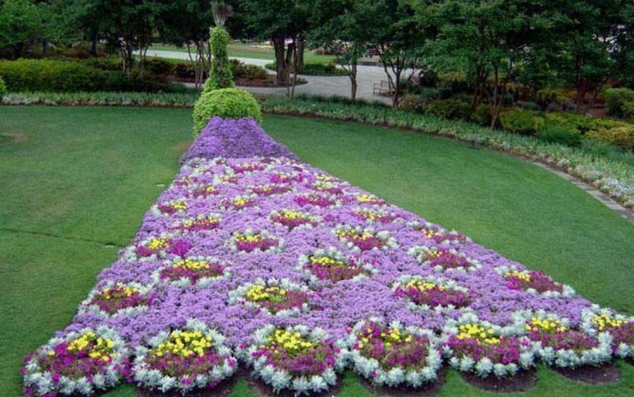 Красивые клумбы во дворе