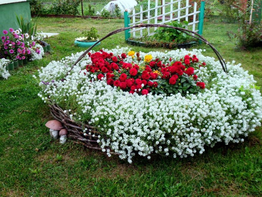 Рабатка Версаль