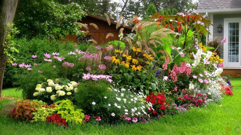 Благоустройство клумб