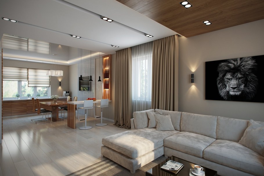 Кухня-гостиная в частном доме