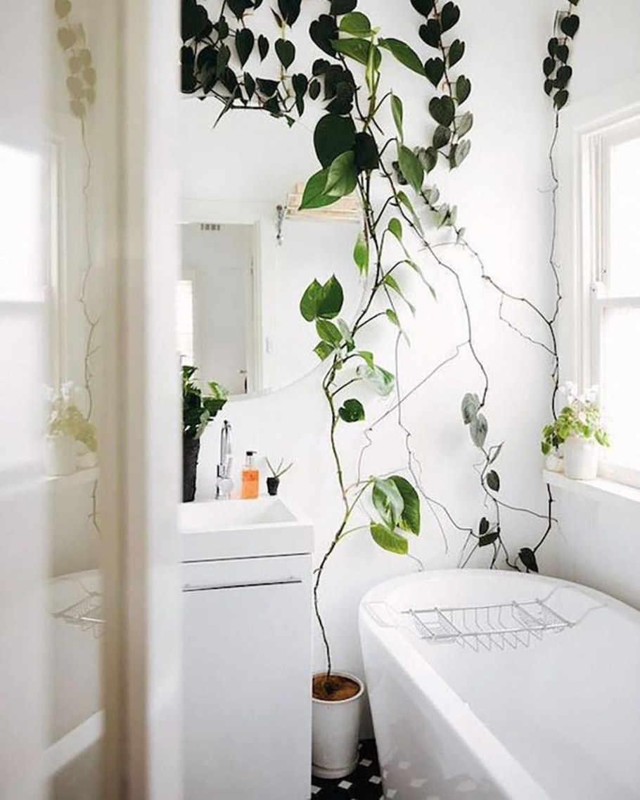 Растения над кроватью