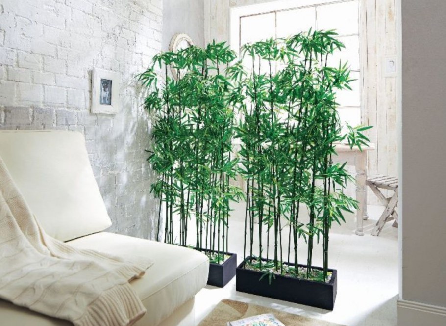 Растения в интерьере спальни