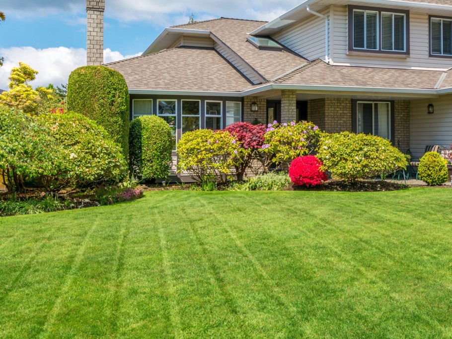 Озеленение участка перед домом