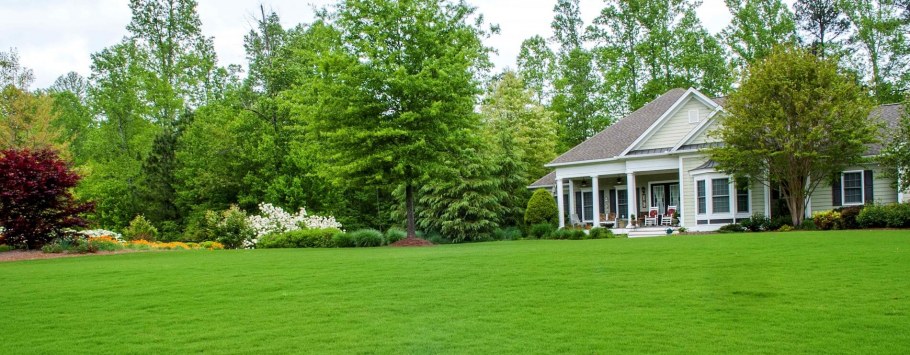 Фазенда газон