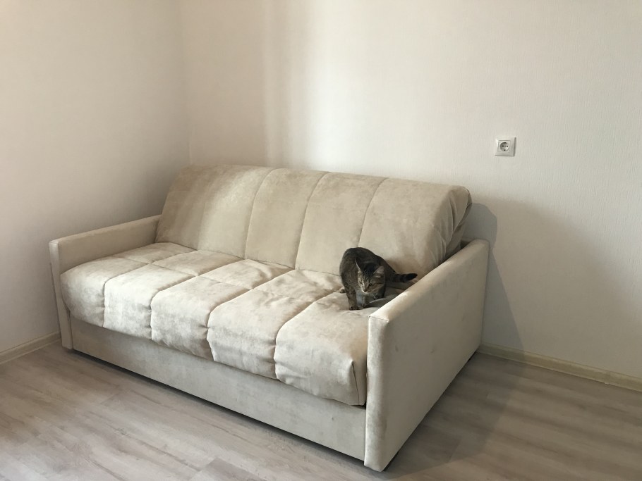 Выбор дивана