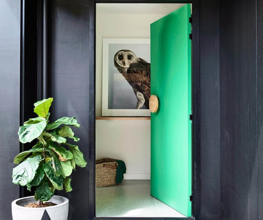 Темно зеленые двери в интерьере