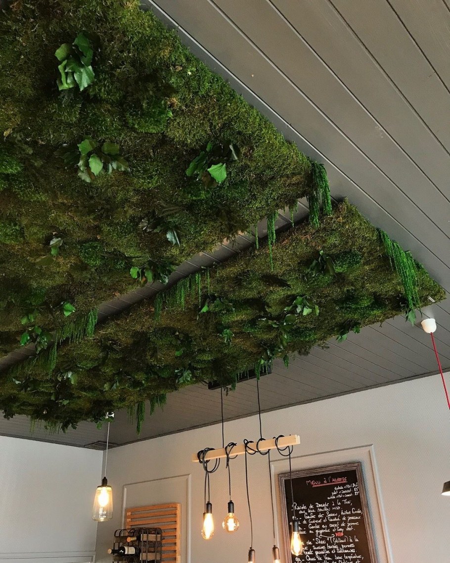 Искусственные растения на потолке