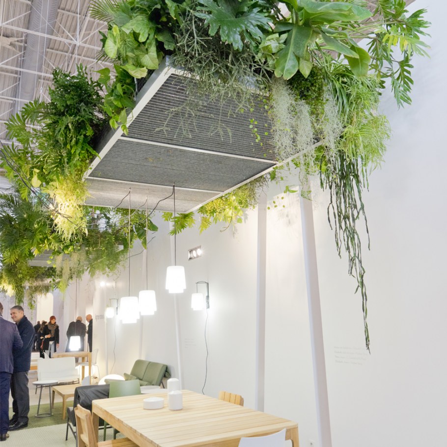 Цветы свисающие с потолка