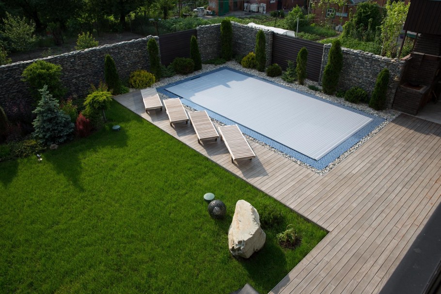 Растения вокруг бассейна