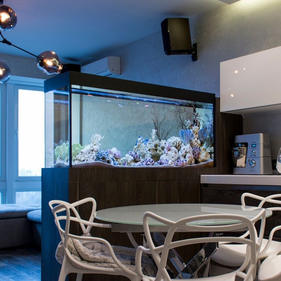 Аквариум на кухне
