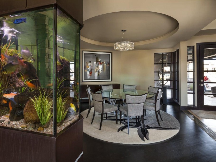 Аквариум в маленькой квартире