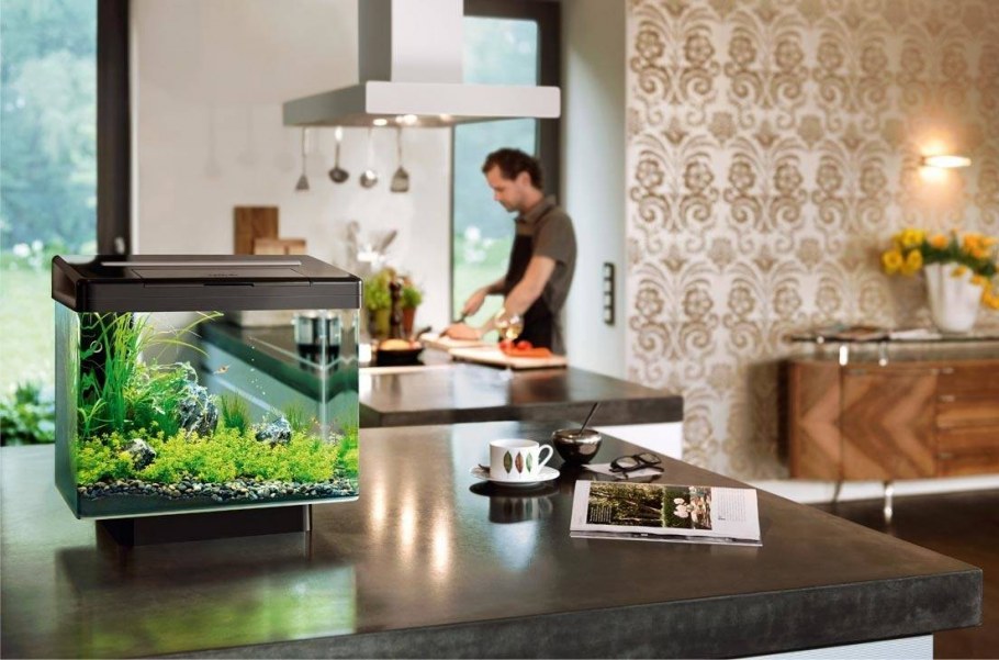 Необычный фартук для кухни