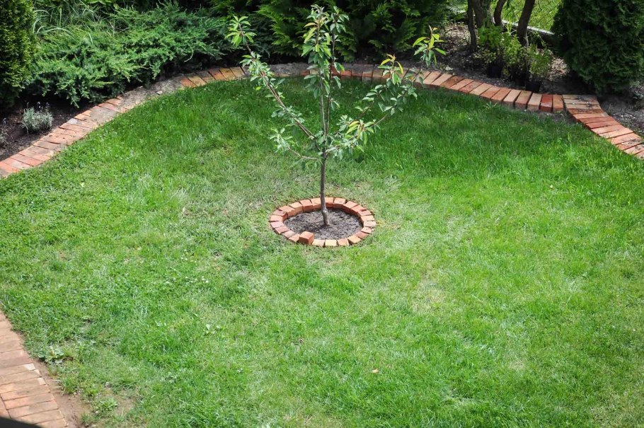 Брусчатка приствольный круг