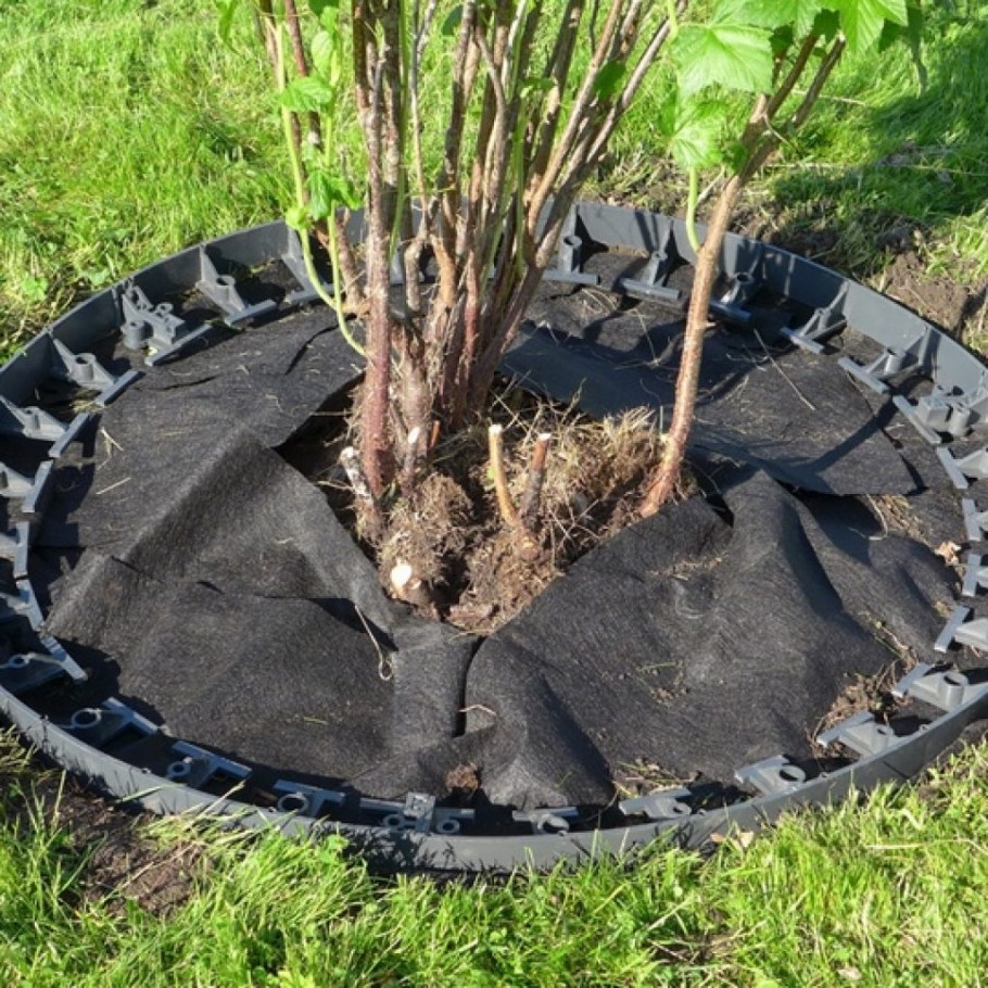 Мульчирование корой приствольный круг