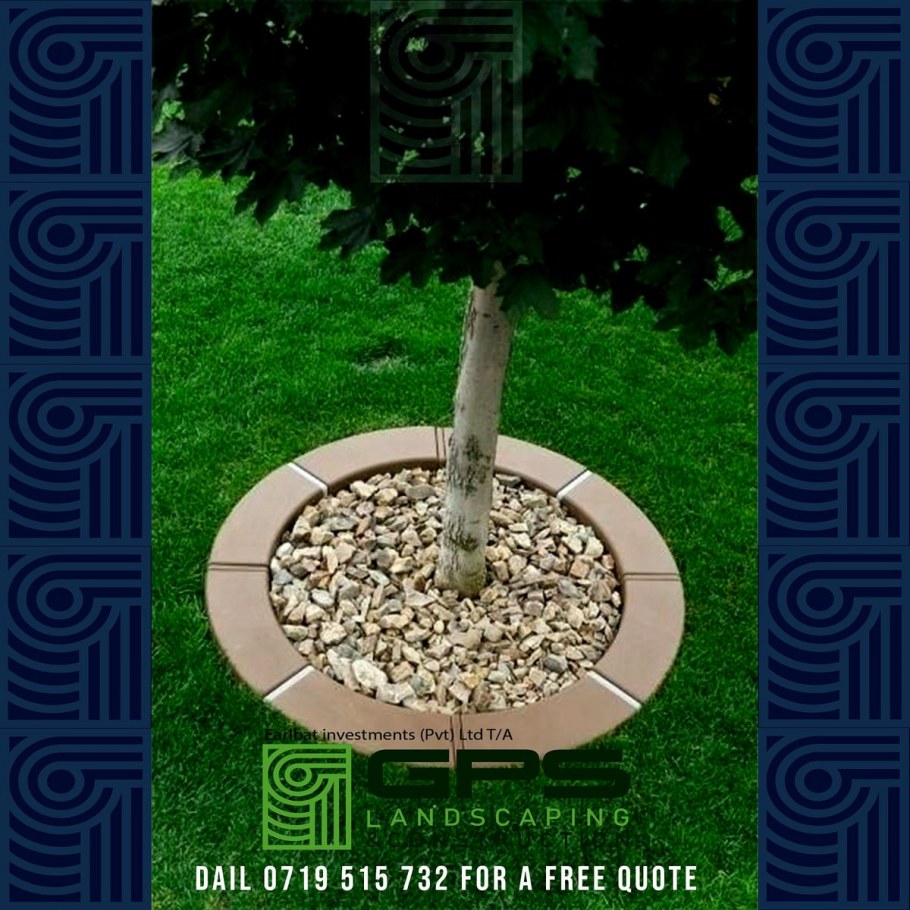 Приствольный круг яблони портулак