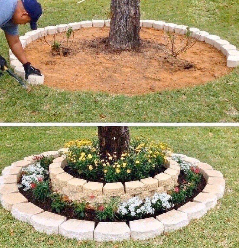 Клумба вокруг дерева