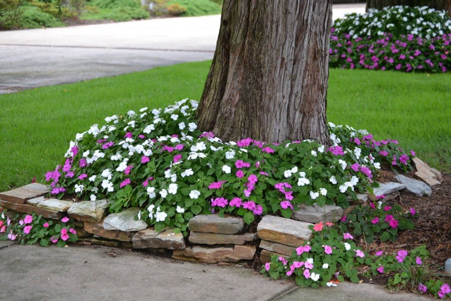 Декор вокруг дерева