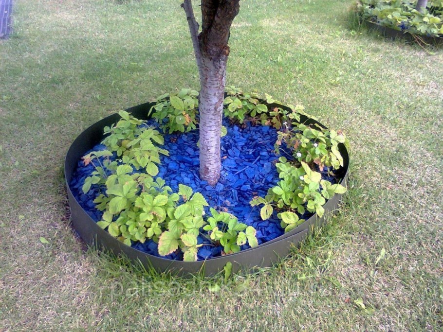 Гейхера в приствольном круге